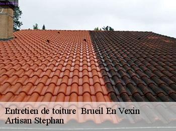 Entretien de toiture   78440