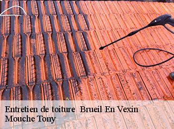 Entretien de toiture