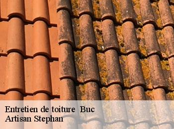 Entretien de toiture   buc-78530 Artisan Stephan