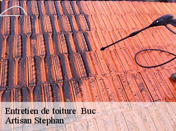 Entretien de toiture 
