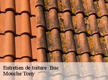 Entretien de toiture   buc-78530 Mouche Tony