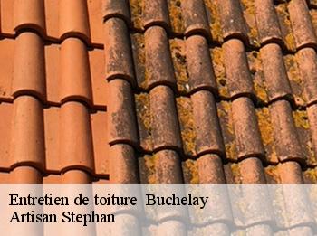 Entretien de toiture   buchelay-78200 Artisan Stephan