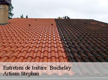 Entretien de toiture   78200