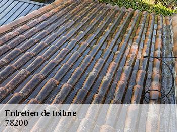 Entretien de toiture 