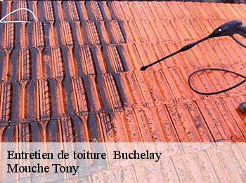 Entretien de toiture 