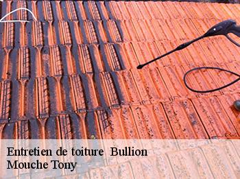 Entretien de toiture