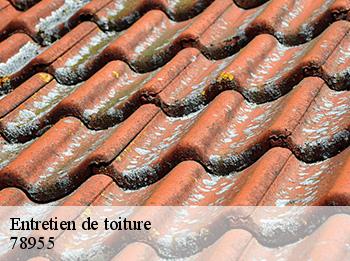 Entretien de toiture   78955