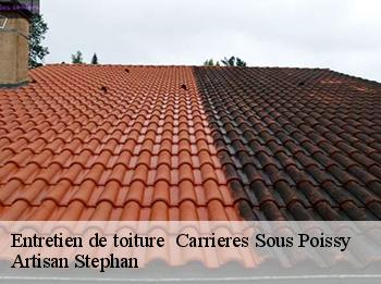Entretien de toiture   78955