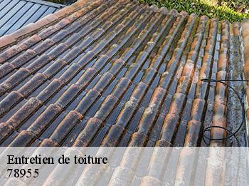 Entretien de toiture 