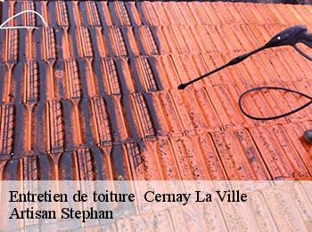 Entretien de toiture 