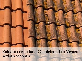 Entretien de toiture   chanteloup-les-vignes-78570 Artisan Stephan