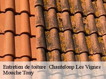 Entretien de toiture   chanteloup-les-vignes-78570 Mouche Tony