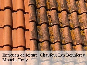 Entretien de toiture   chaufour-les-bonnieres-78270 Mouche Tony