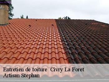 Entretien de toiture   78910