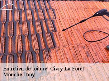 Entretien de toiture