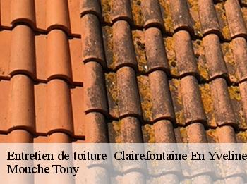 Entretien de toiture   clairefontaine-en-yvelines-78120 Mouche Tony