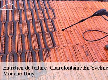 Entretien de toiture