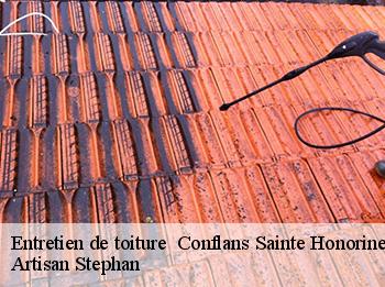 Entretien de toiture 