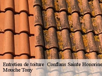 Entretien de toiture   conflans-sainte-honorine-78700 Mouche Tony