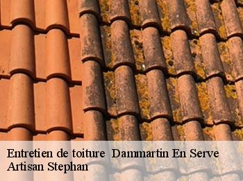 Entretien de toiture   dammartin-en-serve-78111 Artisan Stephan