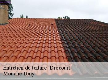 Entretien de toiture   78440