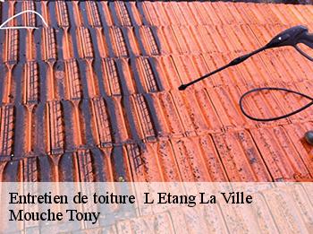 Entretien de toiture