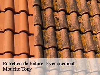 Entretien de toiture evecquemont-78740 Mouche Tony