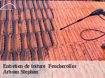 Entretien de toiture 