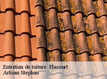 Entretien de toiture   flacourt-78200 Artisan Stephan
