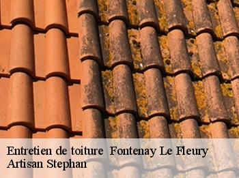 Entretien de toiture   fontenay-le-fleury-78330 Artisan Stephan