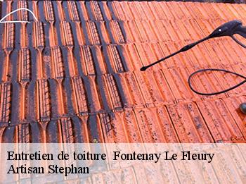 Entretien de toiture 