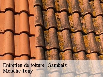 Entretien de toiture   gambais-78950 Mouche Tony