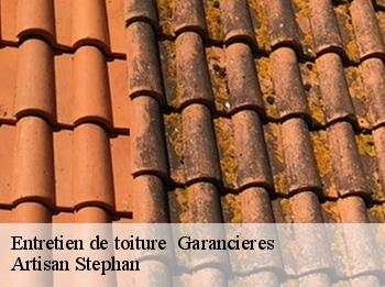 Entretien de toiture   garancieres-78890 Artisan Stephan