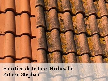 Entretien de toiture   herbeville-78580 Artisan Stephan