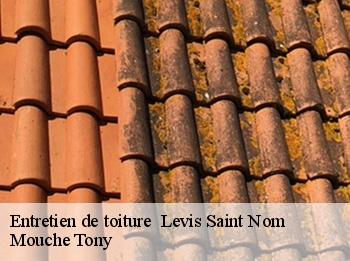 Entretien de toiture   levis-saint-nom-78320 Mouche Tony