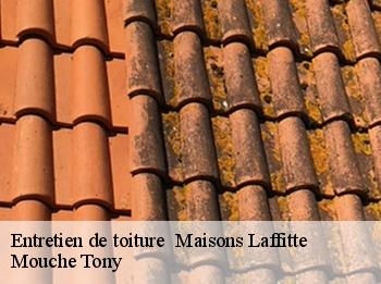 Entretien de toiture   maisons-laffitte-78600 Mouche Tony