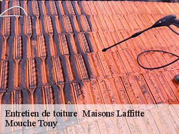 Entretien de toiture