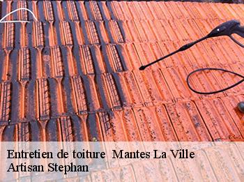 Entretien de toiture 