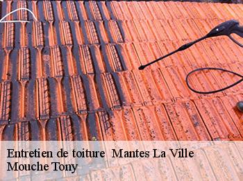 Entretien de toiture