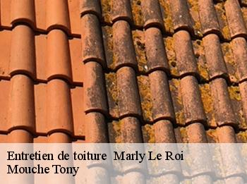 Entretien de toiture   marly-le-roi-78160 Mouche Tony