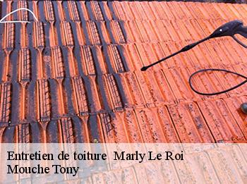 Entretien de toiture