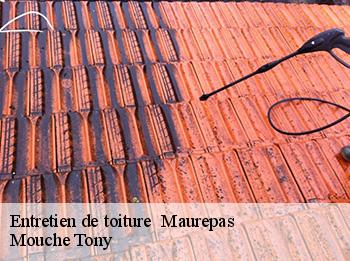 Entretien de toiture