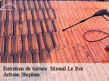 Entretien de toiture 