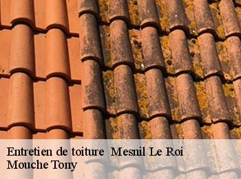 Entretien de toiture mesnil-le-roi-78600 Mouche Tony