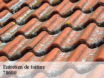 Entretien de toiture 78600