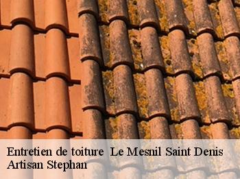Entretien de toiture   le-mesnil-saint-denis-78320 Artisan Stephan