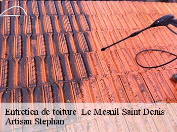 Entretien de toiture 