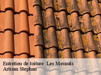 Entretien de toiture   les-mesnuls-78490 Artisan Stephan