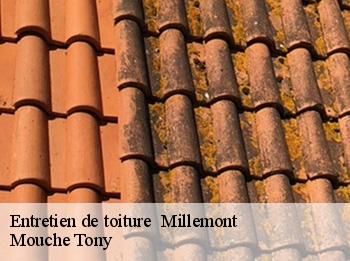 Entretien de toiture   millemont-78940 Mouche Tony
