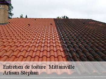 Entretien de toiture   78125